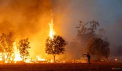 France, Spain assess scorched terrain as new wildfires threaten other regions