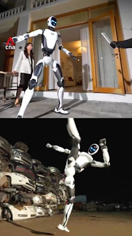 Unitree unveils new 'Kung fu' robot bodyguard
