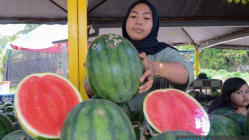 Related article image