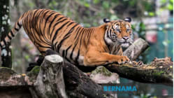 Related article image