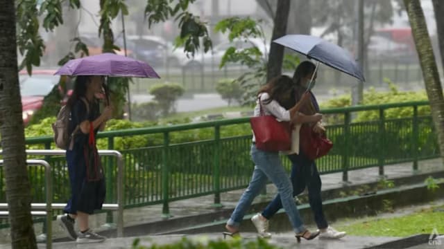 本月前两周将迎来更多雷阵雨