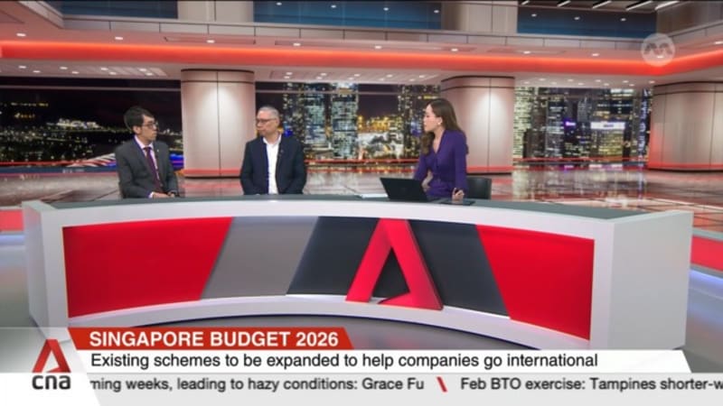 Budget 2026: Economists Suan Teck Kin and Chua Han Teng on support measures for businesses