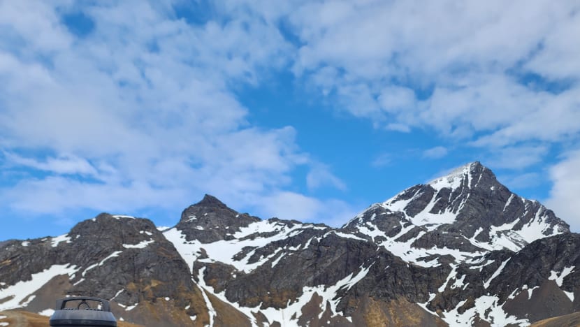 Related article image