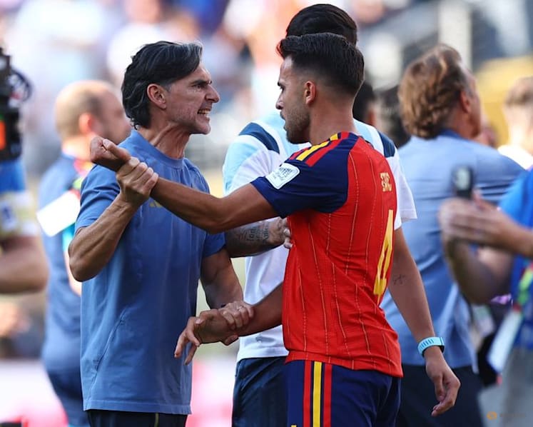Argentina assistant Ayala says sorry for Olmo incident after World Cup final