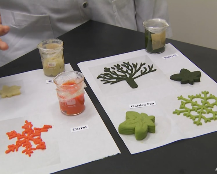 How 3D food printing can help the elderly