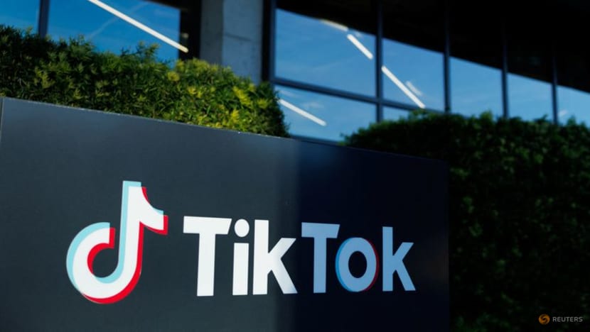 ByteDance, TikTok seek temporary halt to US ban pending Supreme Court review ByteDance, TikTok seek temporary halt to US ban pending Supreme Court review