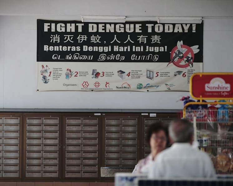 The Big Read in short: Fight against dengue to get harder