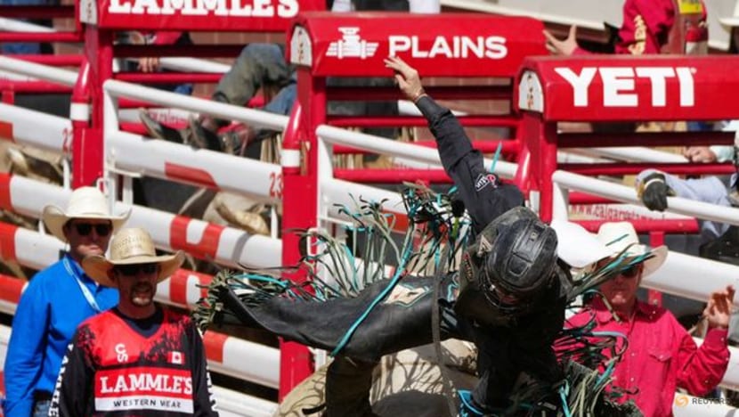 Big Tech joins Calgary Stampede oil bash, as Canada courts data centers