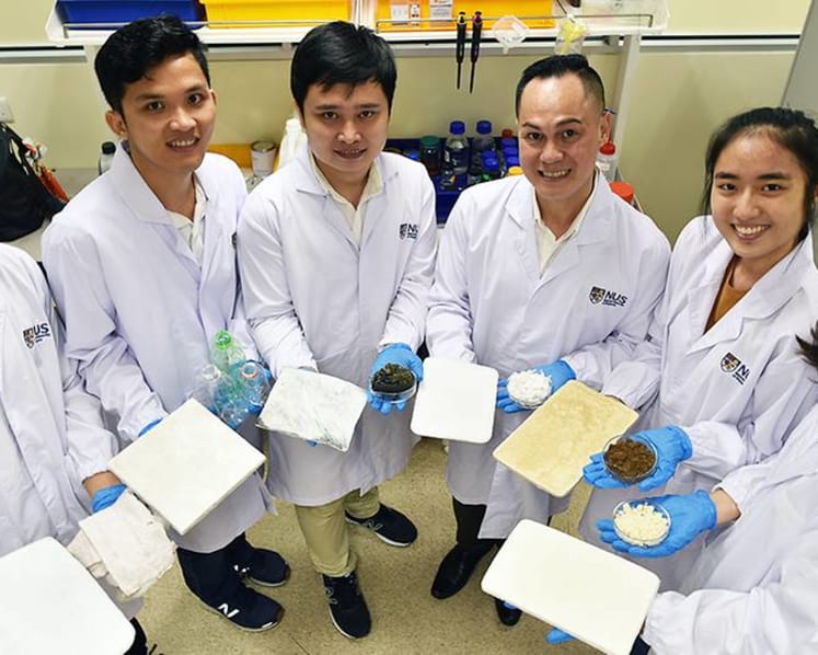 A made-in-Singapore solution to the world's plastic waste problem
