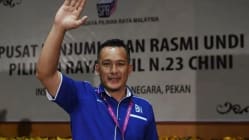 Related article image