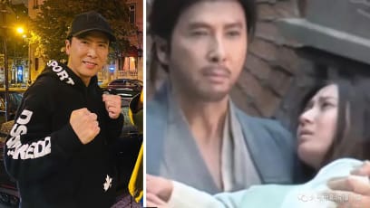 donnie_yen_sakra