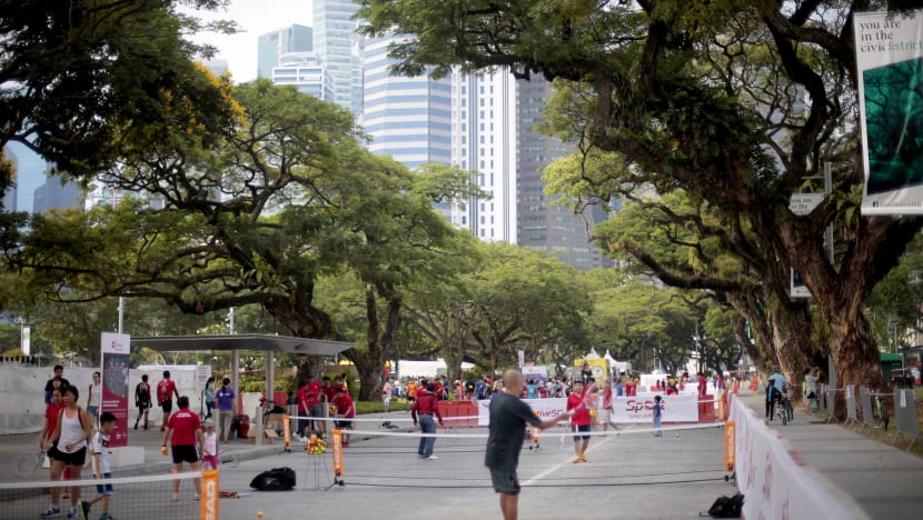 Connaught Drive part of a new civic district tree trail