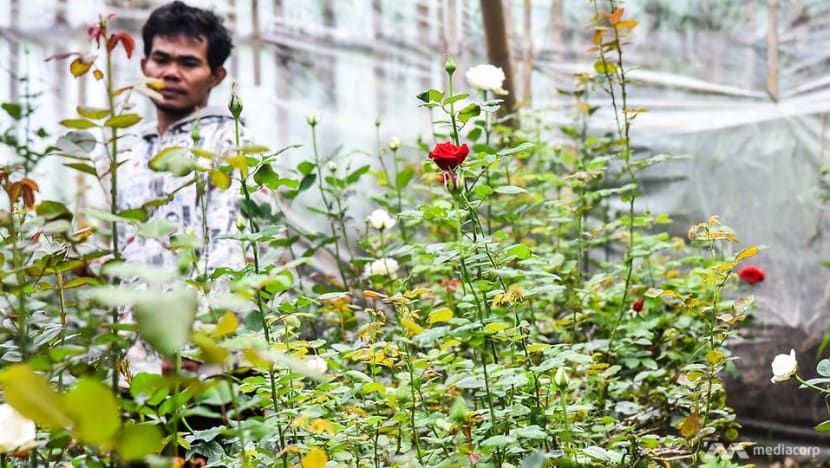 Indonesian community harnesses ‘flower power’ to educate underprivileged children