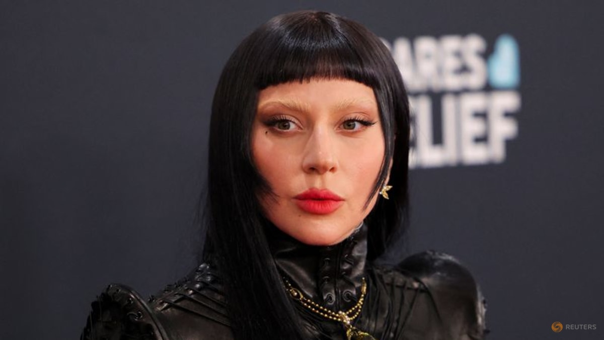 Lady Gaga Pauses Tokyo Concert Against ICE