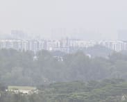 Burning smell across Singapore may be due to 'mixture of gases' from region's peatland, vegetation fires: NEA