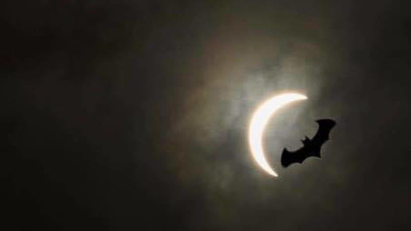 PM Lee's call for eclipse photos draws humorous responses