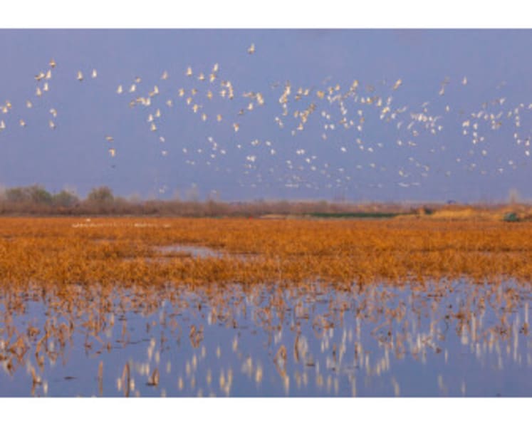 Discover Xinghua, China – a "Dual Heritage + Four Seasons" Journey Through Scenic Countryside