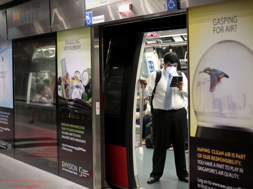 A man wearing a mask is seen on the MRT as it stops as Buona Vista MRT station on Sept 25, 2015. Photo: Jason Quah