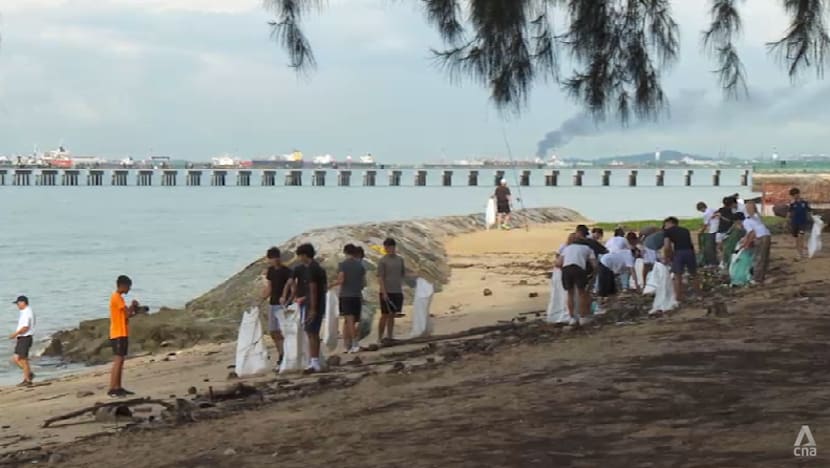 Growing numbers of volunteers tackle trash on Singapore's beaches Growing numbers of volunteers tackle trash on Singapore's beaches