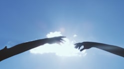 Related article image