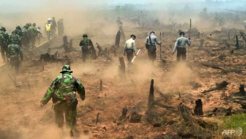 As scientists signal ‘code red for humanity’, Indonesia’s climate change targets still lack ambition: Experts As scientists signal ‘code red for humanity’, Indonesia’s climate change targets still lack ambition: Experts