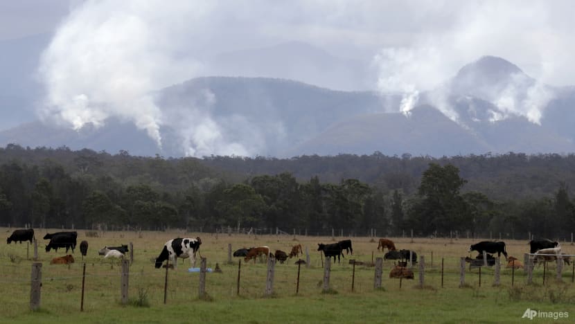 Why methane is climate's low-hanging invisible fruit