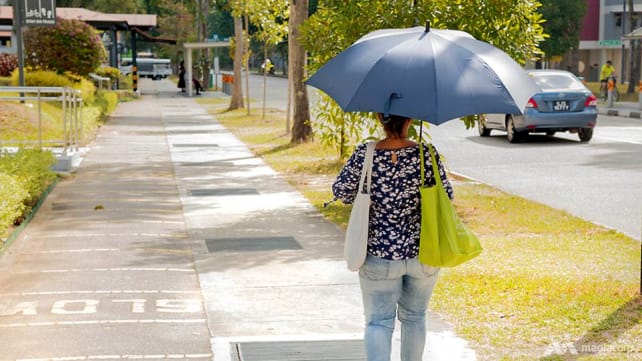 From heatwaves to rising seas: Singapore lays out climate adaptation plan