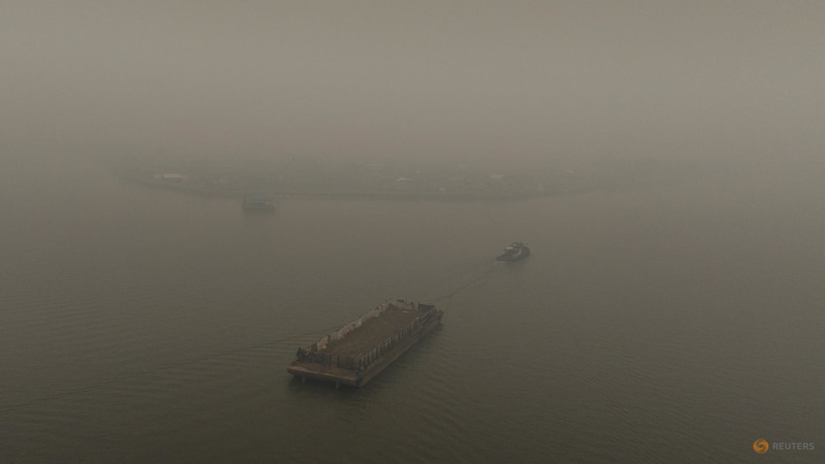 Indonesia steps up wildfire management efforts amid haze in Singapore and Malaysia