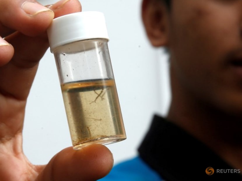 Commentary: Uncovering the factors fueling record-high dengue cases in Singapore