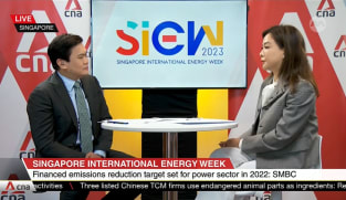 Many funding opportunities for green energy from private sector: Expert