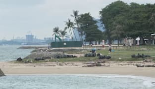 Long Island: Pihak berkuasa kaji cara kurangkan kesan jangka panjang terhadap alam sekitar