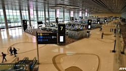 Related article image