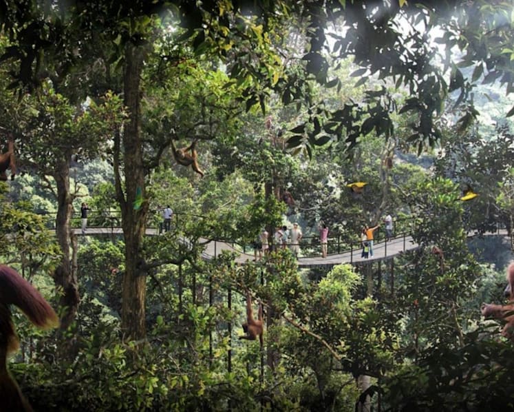 Mandai resort could be novel staycation option and draw tourists who enjoy the tropics
