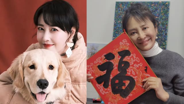 周海媚毛小孩去向曝光　金毛犬“周墩墩”被中国女星收养
