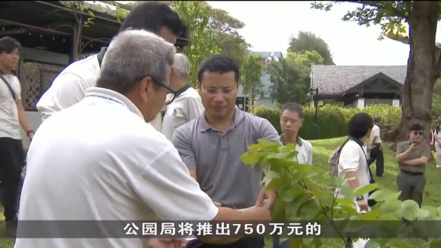 公园局宣布新绿化管理模式 通过善用科技加强公园和街景管理