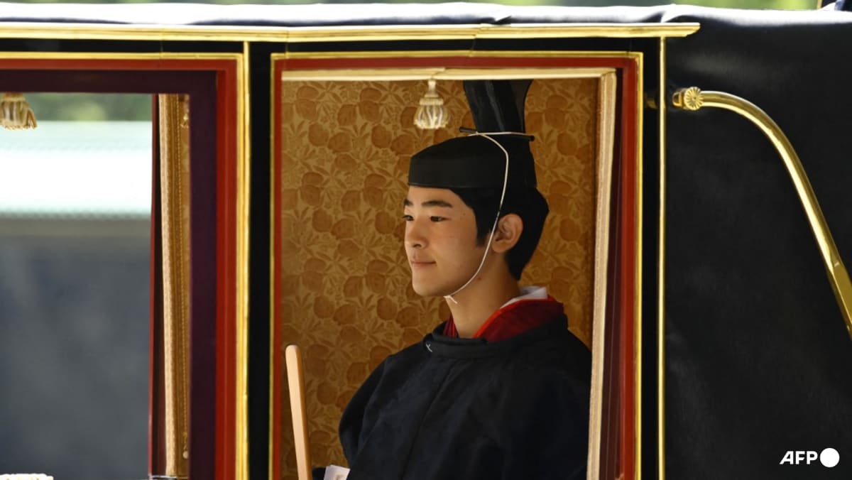 Japan prince comes of age as succession crisis looms