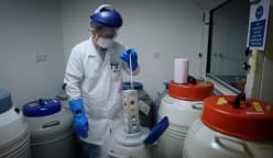The Vaccine Quest - S1: Episode 1