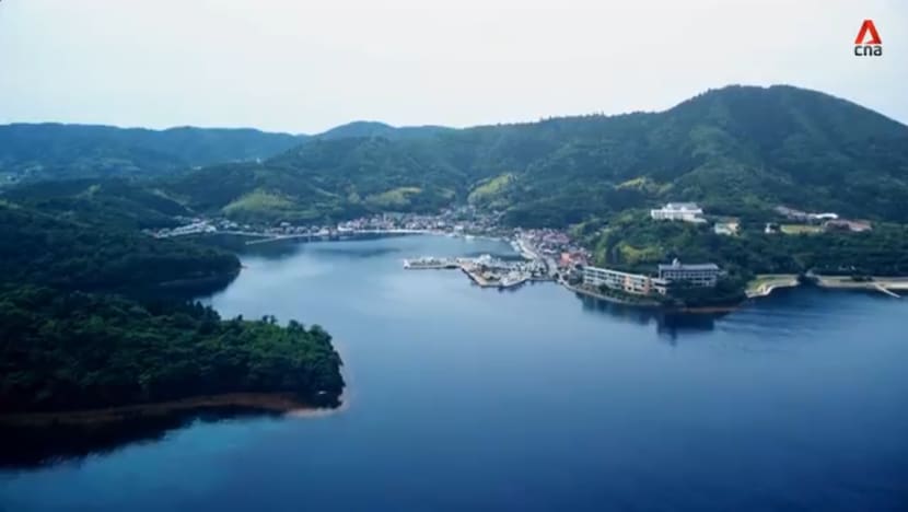 Gaia Series 11: Migrating To Sano City, Tochigi Prefecture And Ama Town, Shimane Prefecture Gaia Series 11: Migrating To Sano City, Tochigi Prefecture And Ama Town, Shimane Prefecture