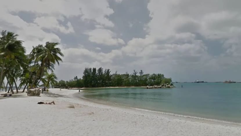 Ampai-ampai berbisa muncul kembali di Pantai Siloso