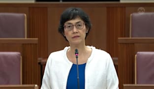 Joan Pereira on Criminal Law (Miscellaneous Amendments) Bill