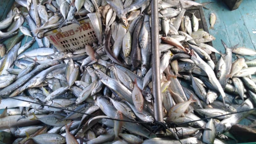 As movement curbs persist, Malaysian fishermen and farmers grapple with lower demand and logistics issues