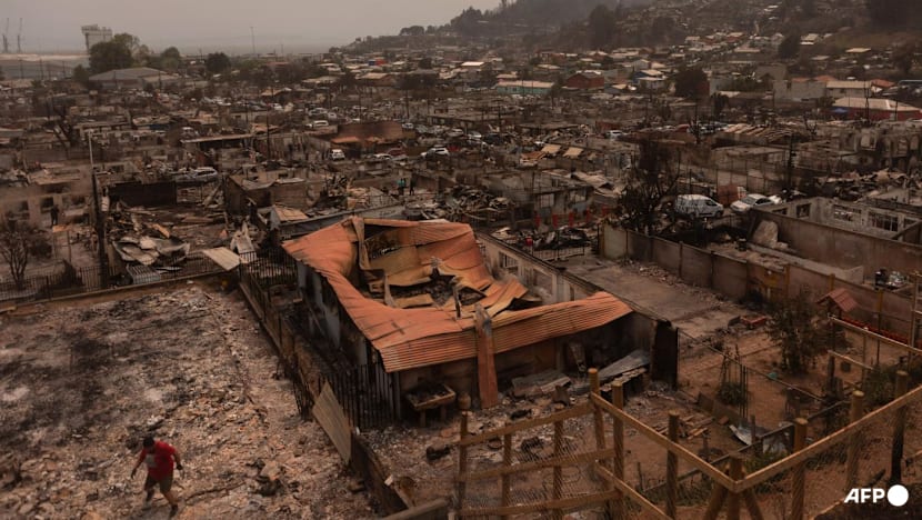 Chile wildfires rage for third day, entire towns wiped out