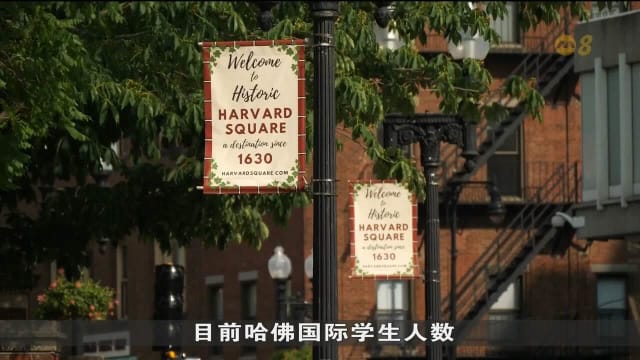 特朗普政府频频向哈佛大学出招 学校周边商家忧生意受冲击