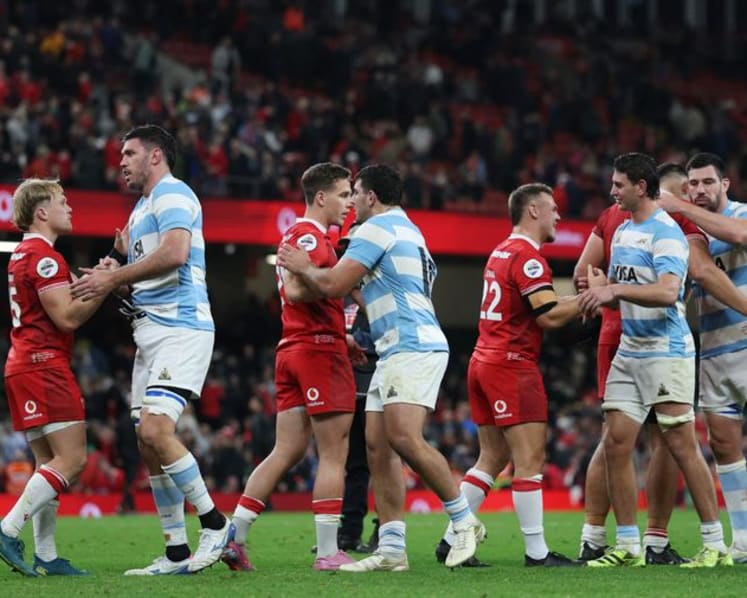 Argentina snuff out Welsh hopes of debut win for new coach