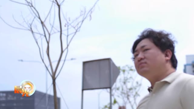晨光|落叶归根：青年放弃美国梦 回国后路更宽