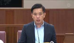 Alvin Tan on environmental impact of bus depot construction near Sungei Serangoon