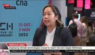 Going green makes good business sense: Analyst