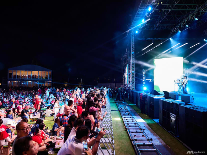 Here's what went down at the Gardens by the Bay and Mediacorp National Day Concert 2024