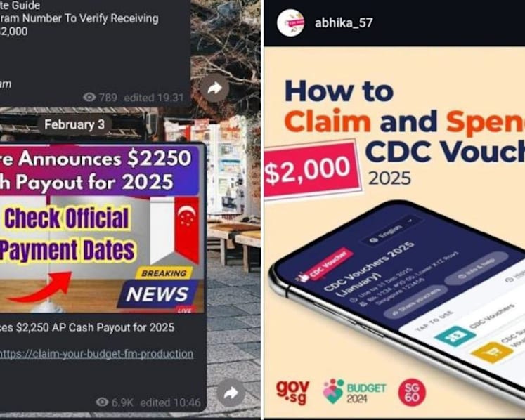 Police warn of scams involving fake websites, infographics on government payouts