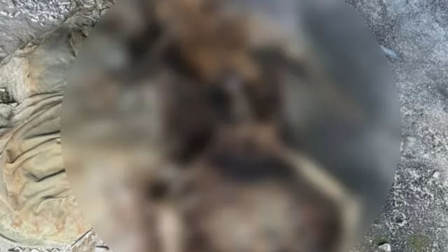 泰国男子寻回手机 相册赫然发现骷髅照片